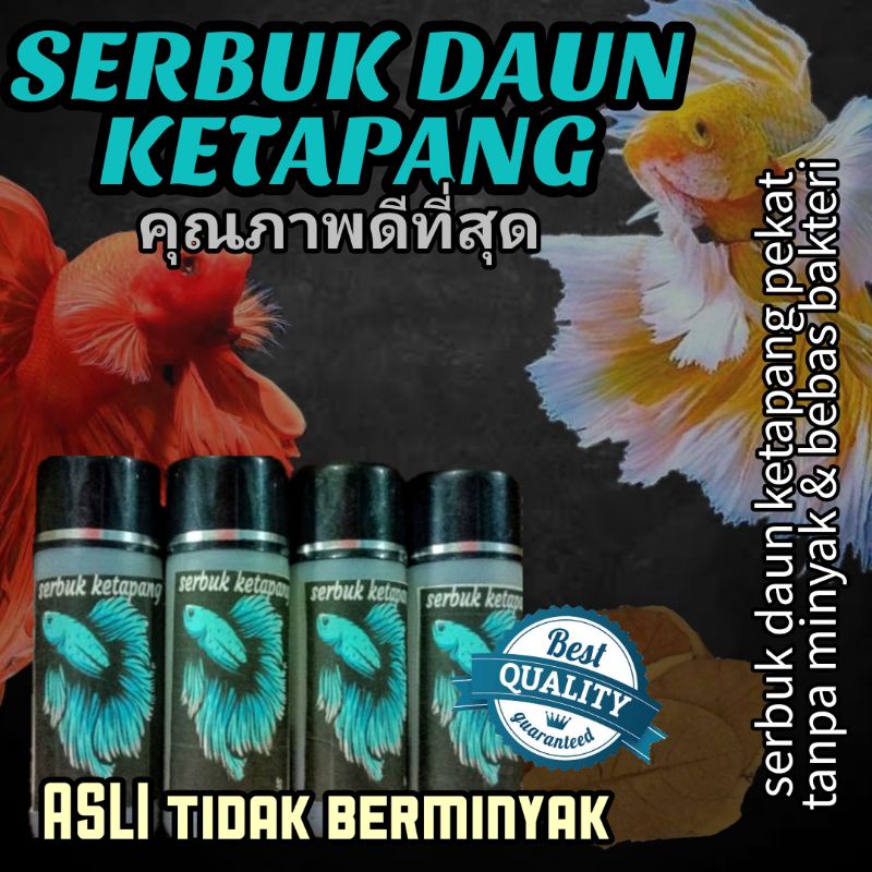 Bubuk Ekstrak Serbuk daun ketapang best quality