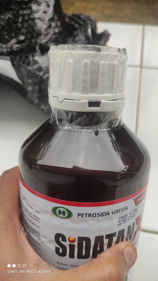 Sidatan Xr Pestisida Insektisida Pengendali Sundep / Penggerek Batang / Wereng Coklat 500ml 1liter