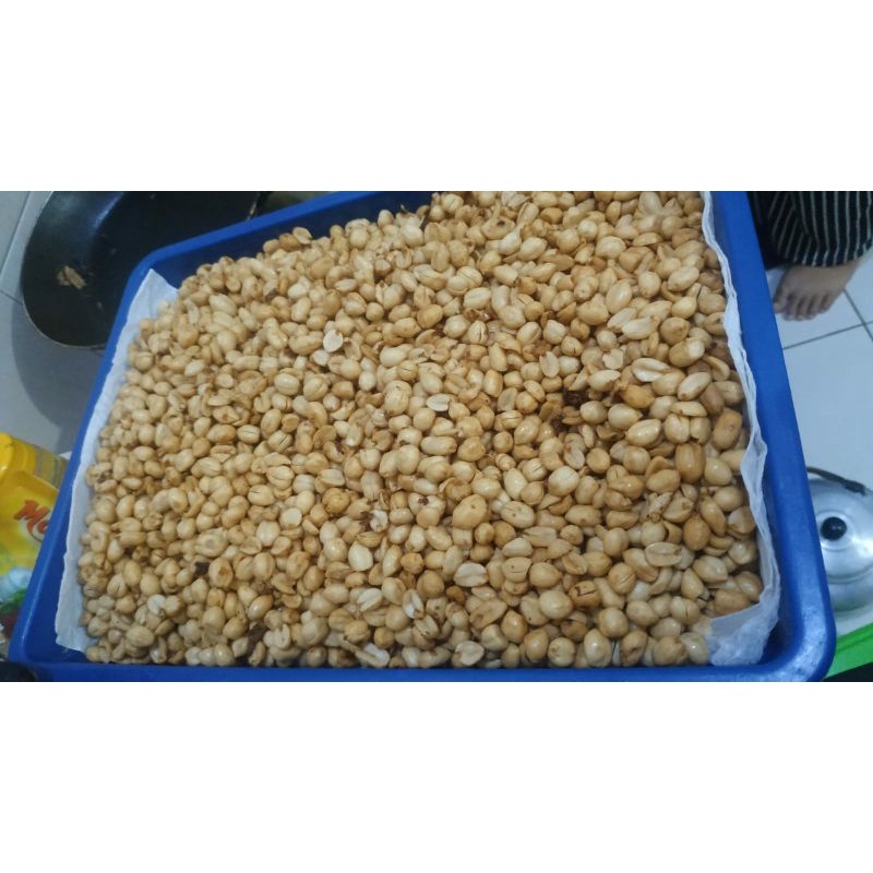 

kacang bawang suci anti riba