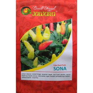 Benih Cabe Rawit Sona 10 Gram - bibit cabe