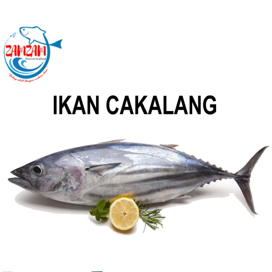  Gambar  Ikan  Cakalang 