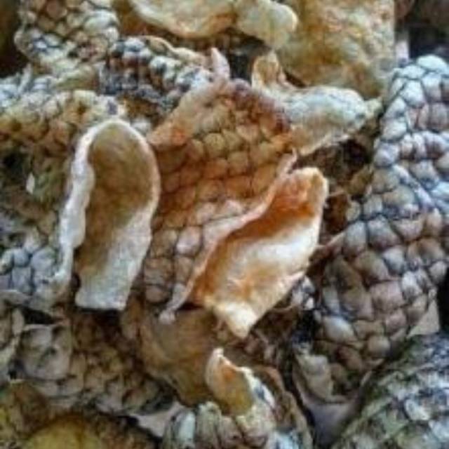 

Keripik kulit ikan kakap