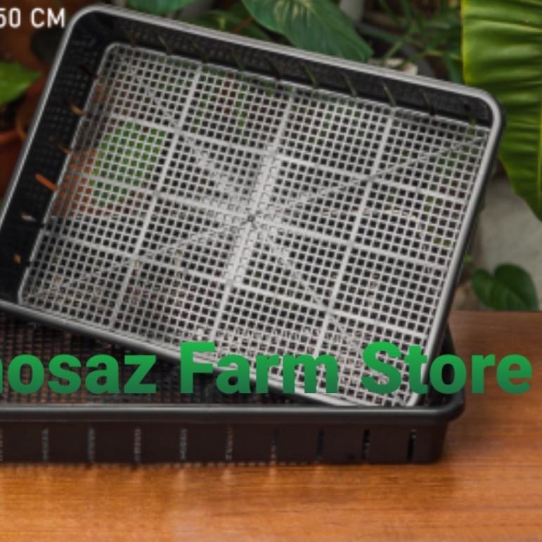 ◘ Tray Pot Semai Bibit Hidroponik 50 cm Tray Pot NKT 50 ☂