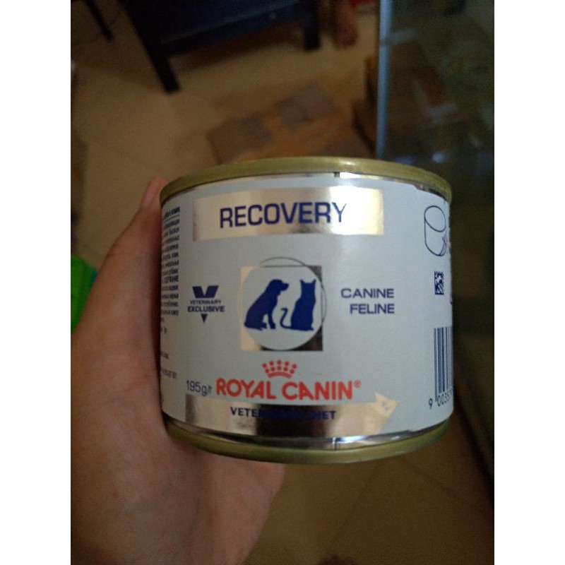 Royal canin recovery 195gr makanan khusus anjing dan kucing yang sakit / tahap penyembuhan