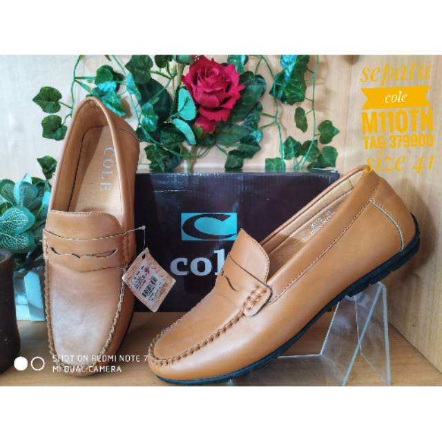 Sepatu cole