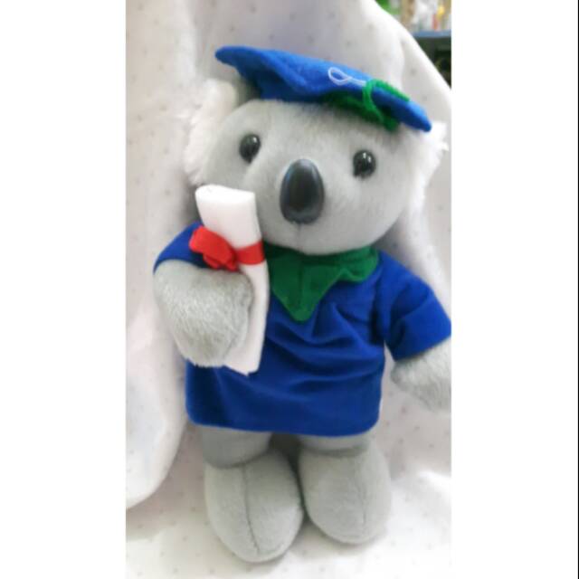 

koala wisuda koala toga
