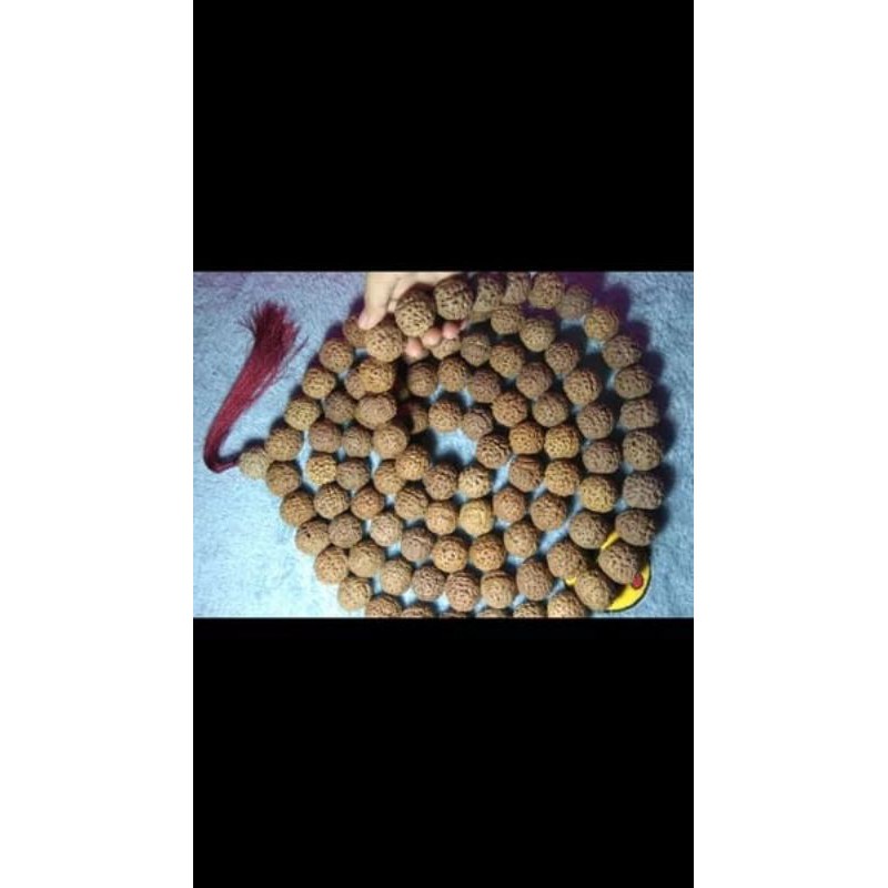 tasbih jenitri rudraksha besar