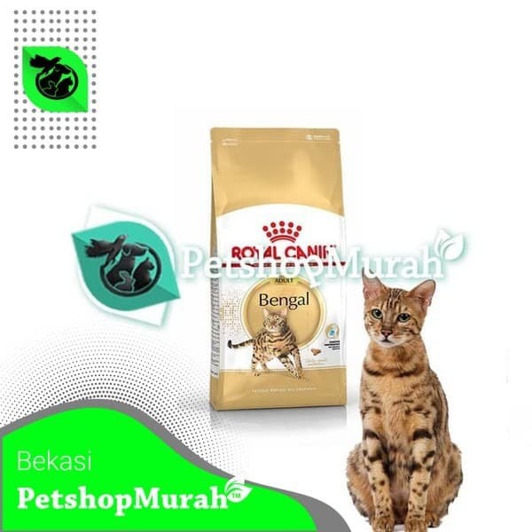 Makanan Kucing Royal Canin Bengal Adult 2 Kg CatFood Ras bengal 2kg