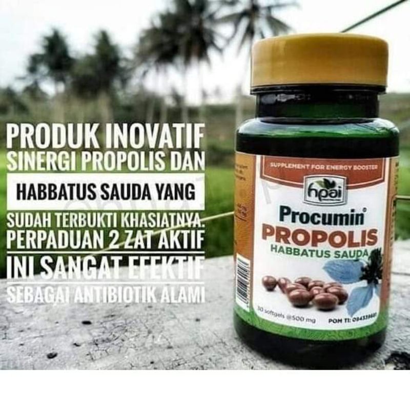 Procumin Propolis HPAI HNI Ori Termurah Obat tumor dan kannker
