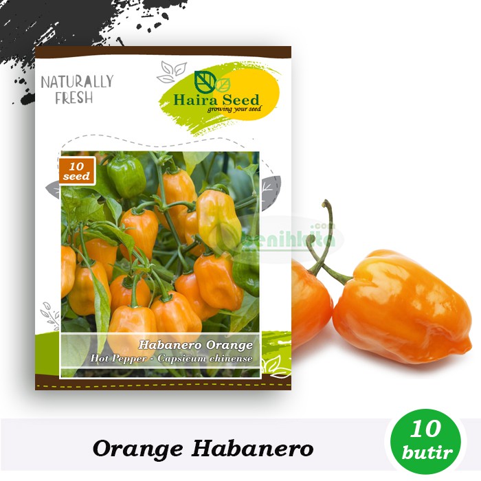 Benih-Bibit Cabe Habanero Orange (Haira Seed)