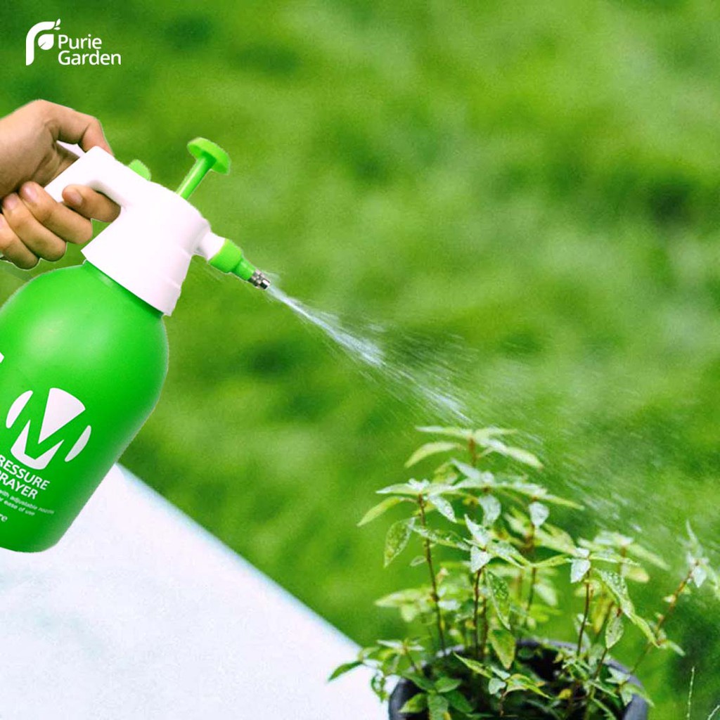 Semprotan Sprayer Misty 2 Liter Jet Pum Preassure Tanaman Hama Mandi Burung Desinfektan PG KDR