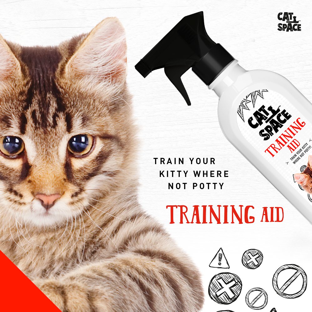 CAT SPACE TRAINING AID SPRAY - MELATIH KUCING KENCING