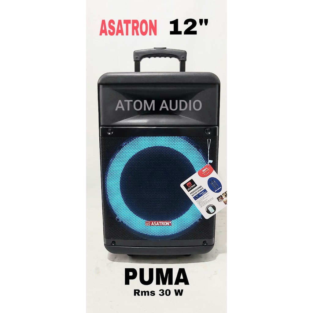 Asatron Puma Speaker Portable 12 Inch