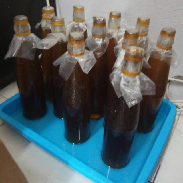 

Madu Hutan