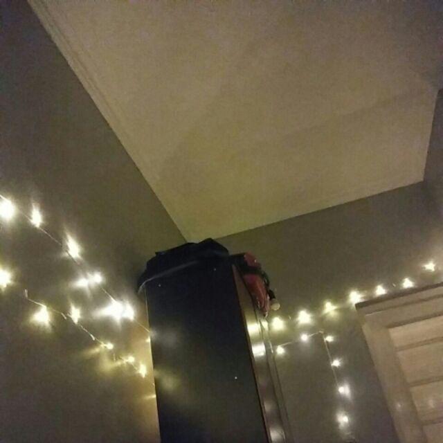 Kintakun Dluxe Sprei B2 180x200 (king) Unicorn