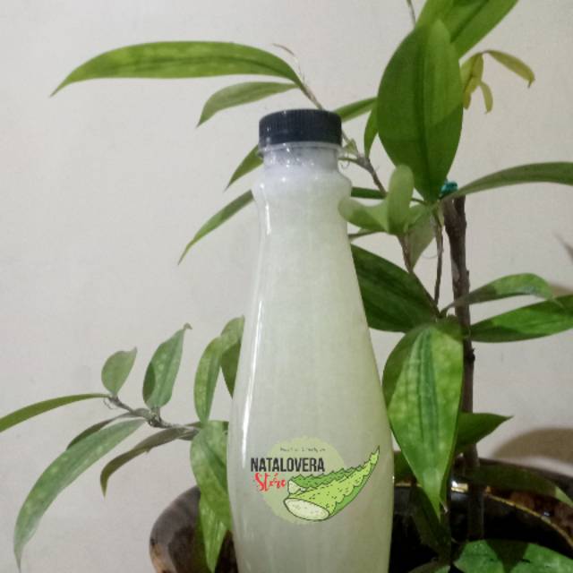 

GEL LIDAH BUAYA ALAMI ORGANIK TANPA BAHAN PENGAWET 250 mL