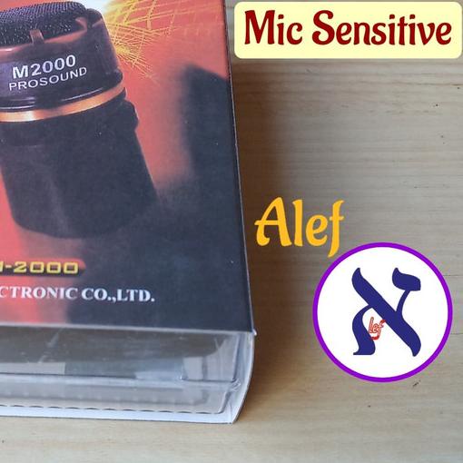 ➮ spul mic condensor loda M2000 kondensor microphone M 2000 ➯