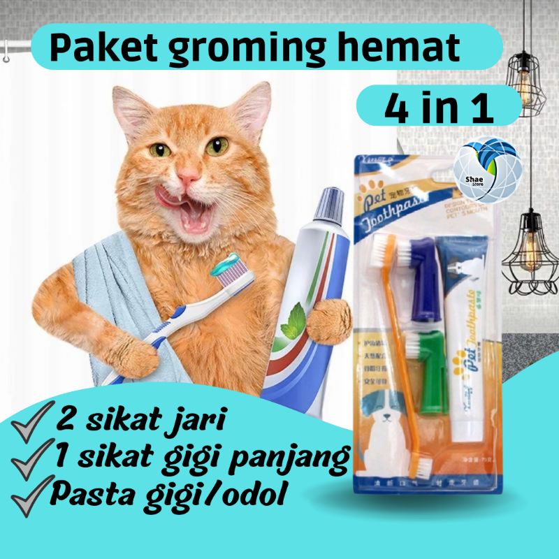 Sikat gigi dan odol kucing sikat gigi dan odol anjing Sikat gigi kucing sikat gigi anjing odol kucing odol anjing 4 in 1