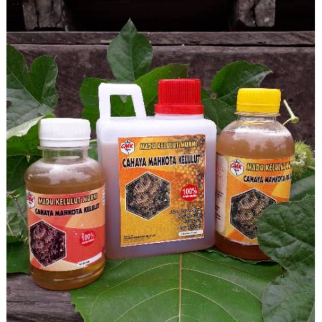 

Madu Kelulut Murni