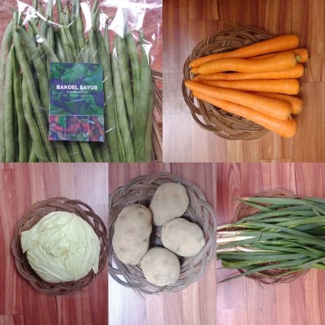 

Paket SOP murah, bersih, sehat