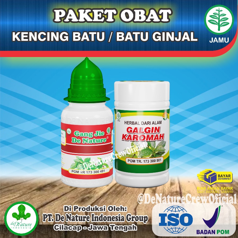 Obat Kencing Batu Penghancur Batu Ginjal Peluruh Batu Empedu Denature Galgin Gang Jie Gang Ji Gangji