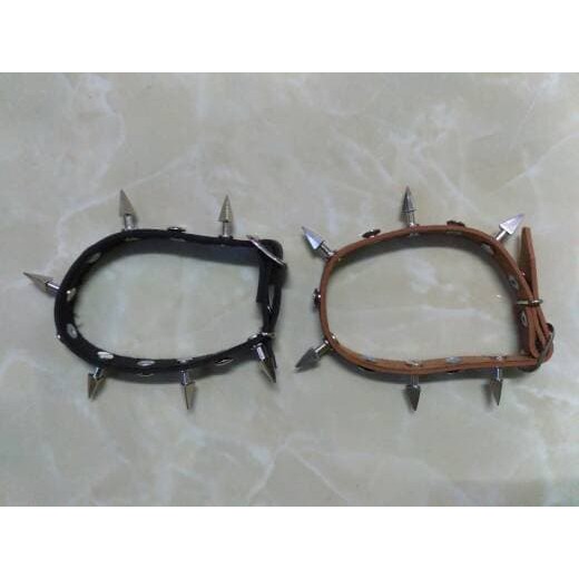 ASR530 Kalung Kucing / Anjing / Musang Duri