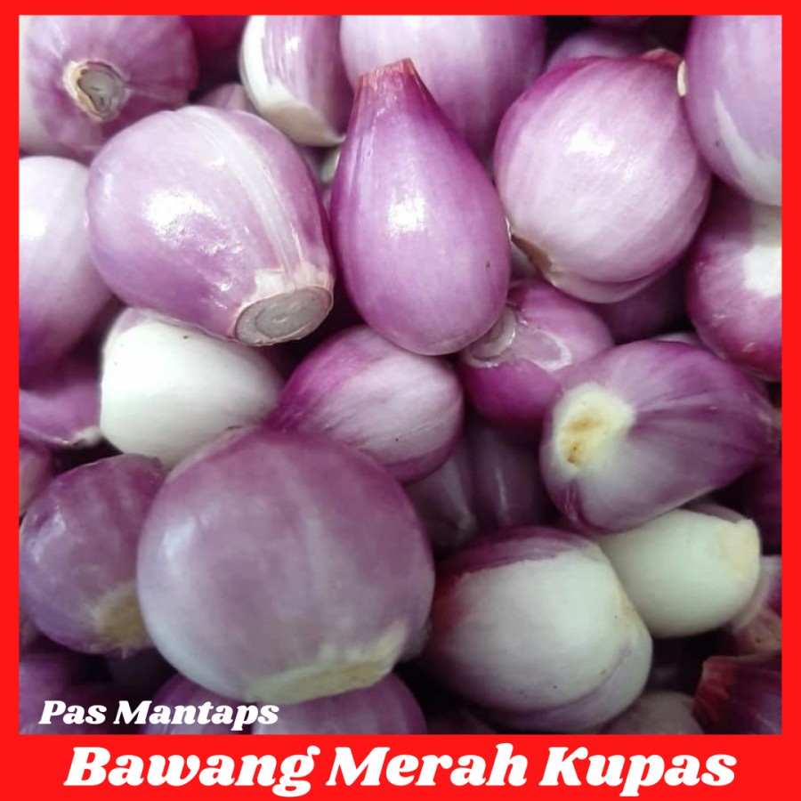 

Bawang Merah KUPAS Segar pasar murah Bekasi