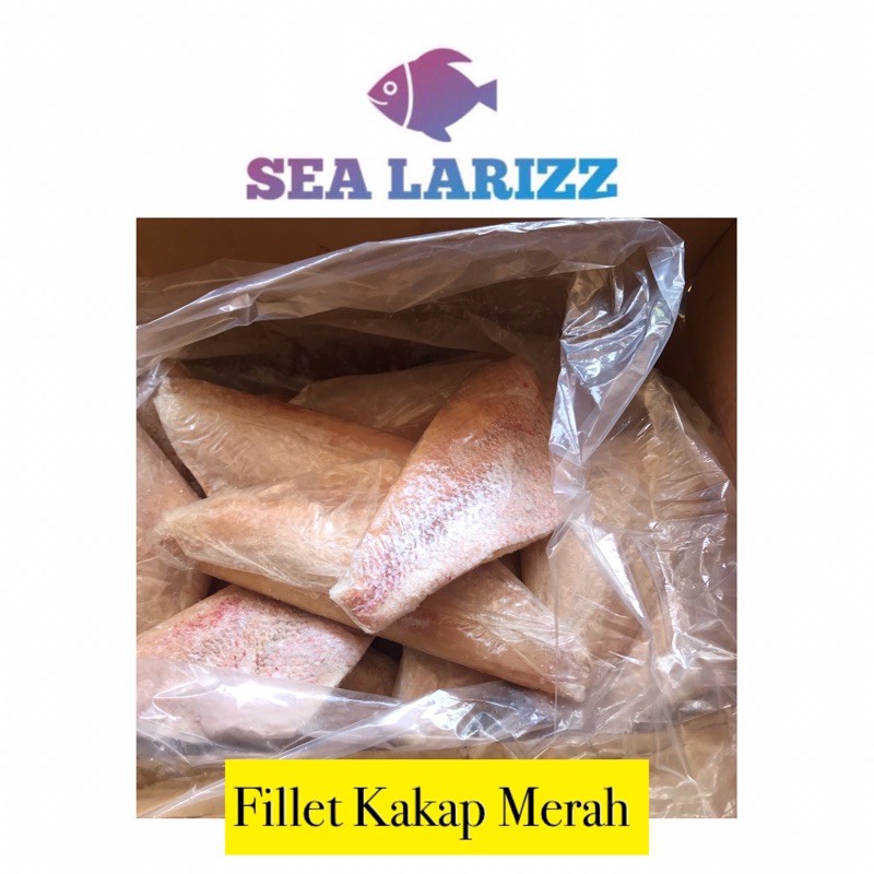 

Ikan Kakap Merah Fillet / Red Snapper / Fillet Kakap Merah / Daging Kakap Merah / Kakap Skinless / Kakap Tanpa Kulit