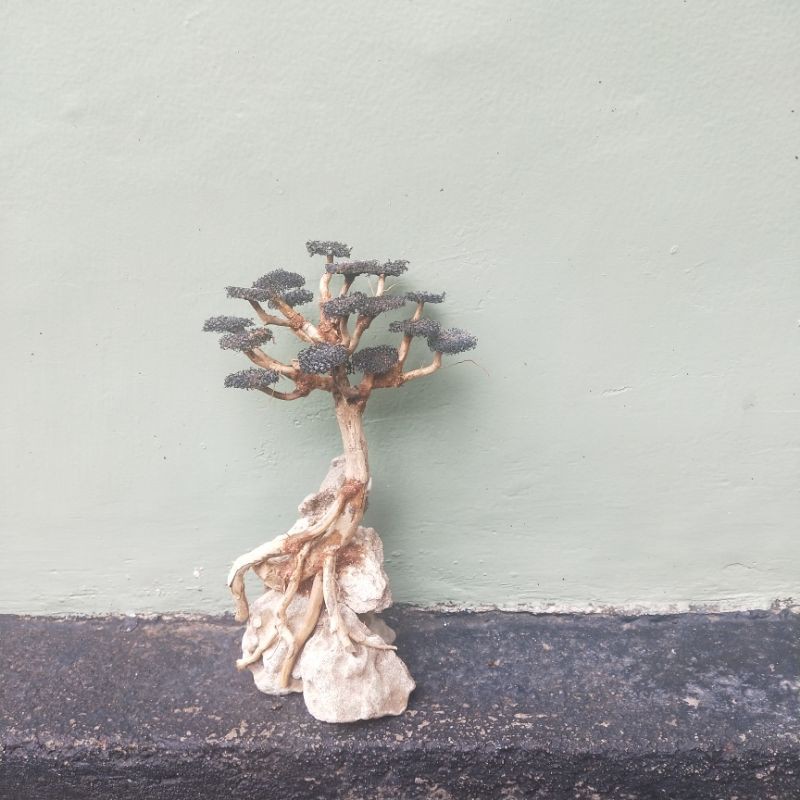 bonsai aquascape senggani x batu pasir