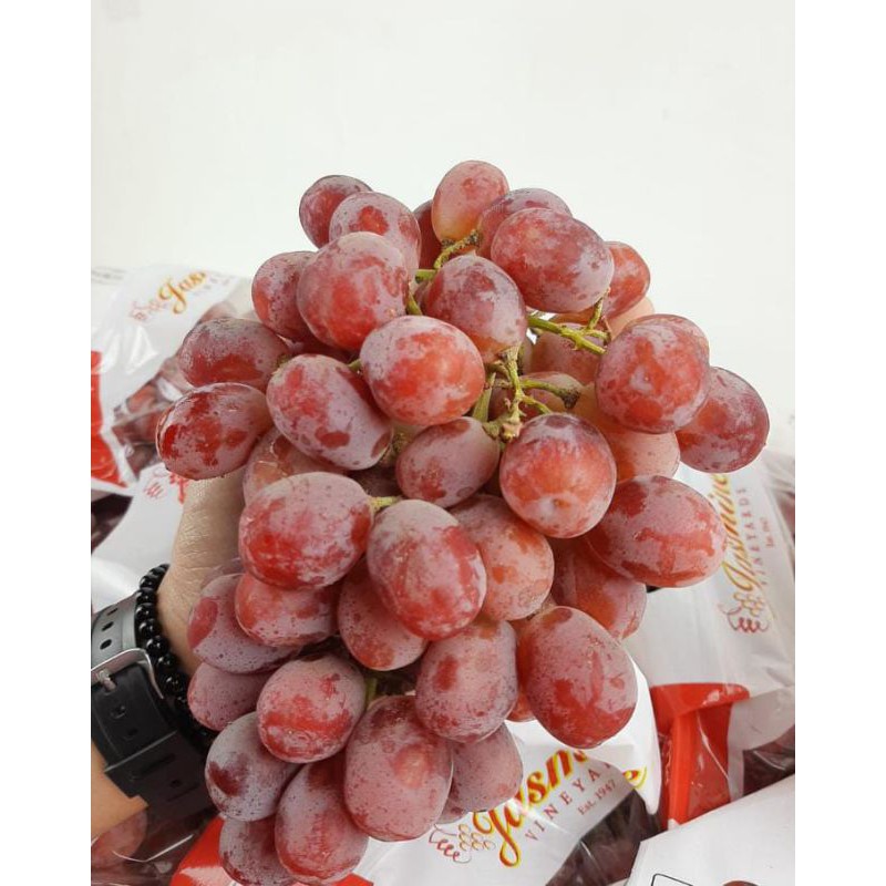 

Anggur red globe import