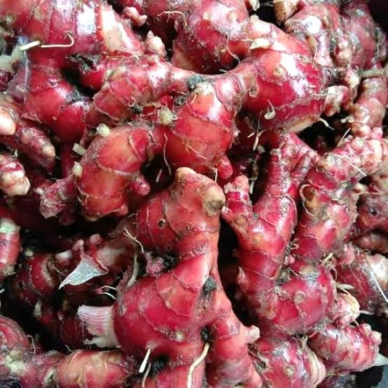 

Jahe Merah /1kg