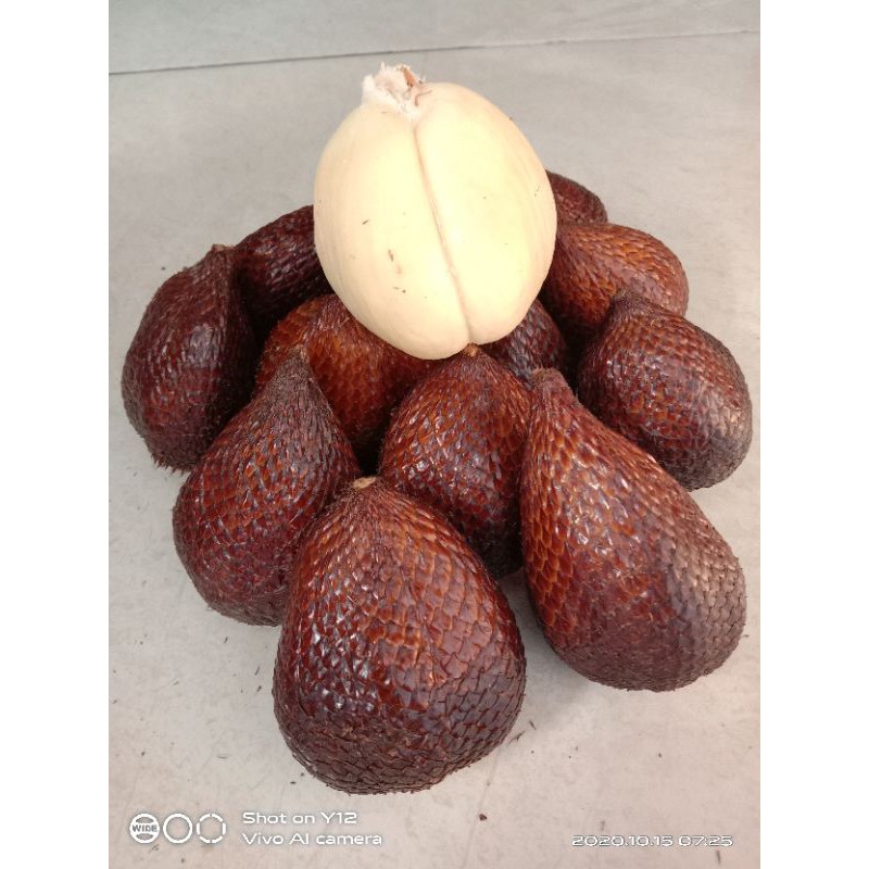 Salak Pondo Manis 1kg