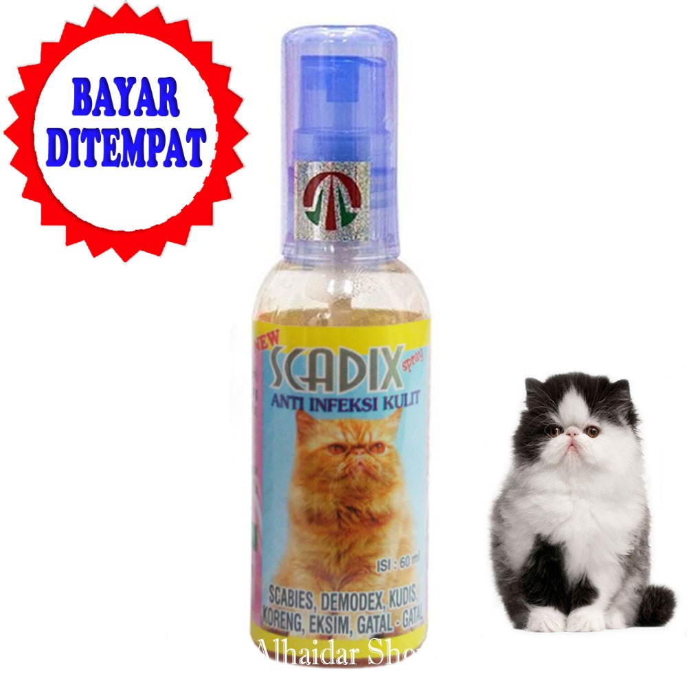 obat kucing luka  koreng kulit jamur koreng scadix