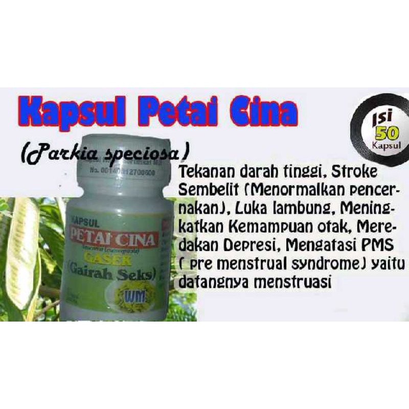 PETE CINA Kapsul Herbal Pembangkit Libido Abses Paru Insomnia Herpes
