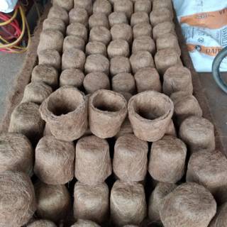  Pot  tanaman dari bahan sabut  kelapa  Shopee Indonesia