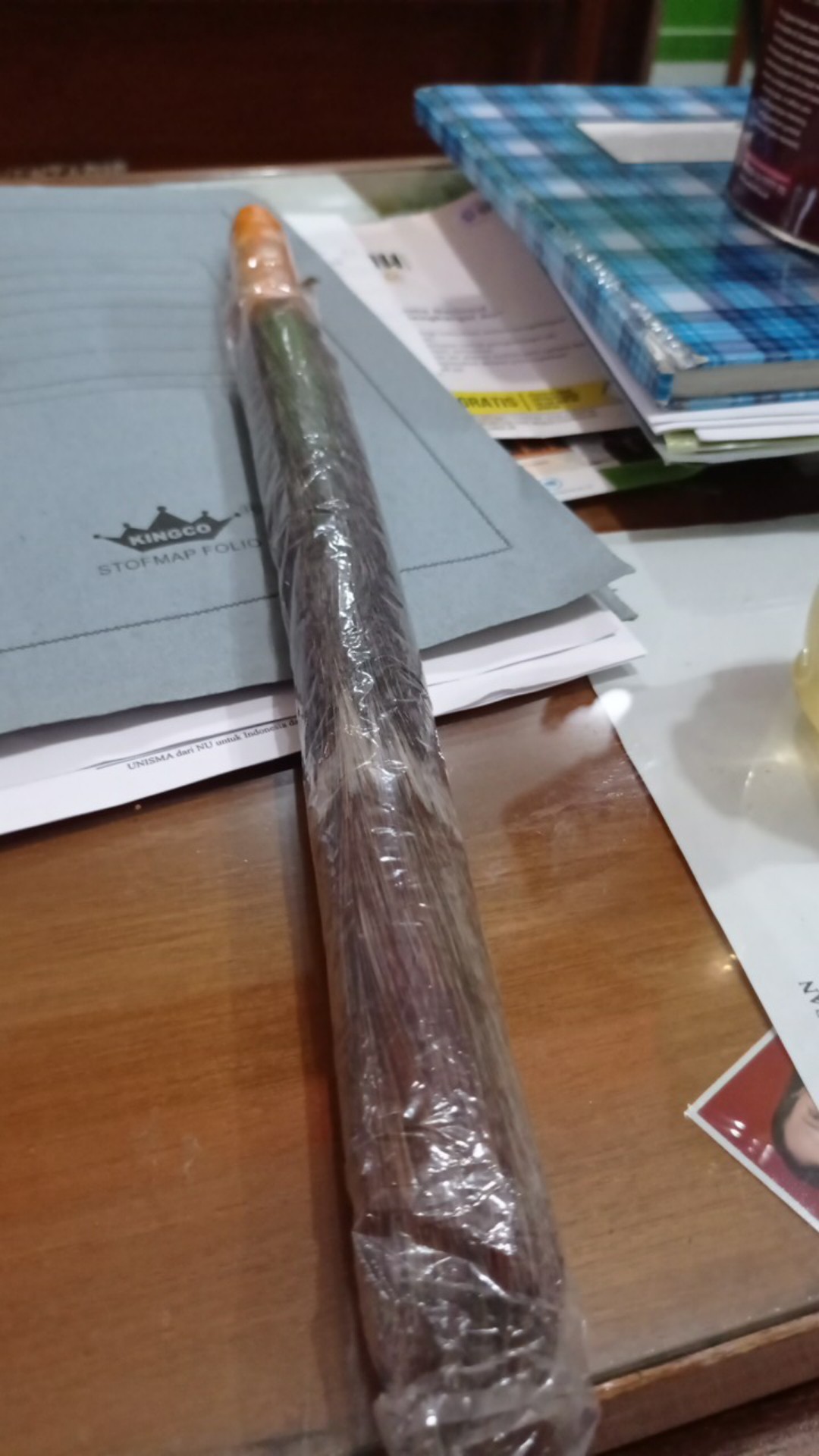 Kemoceng Bulu Sintetis Kemucing Bulu Sulak Bulu