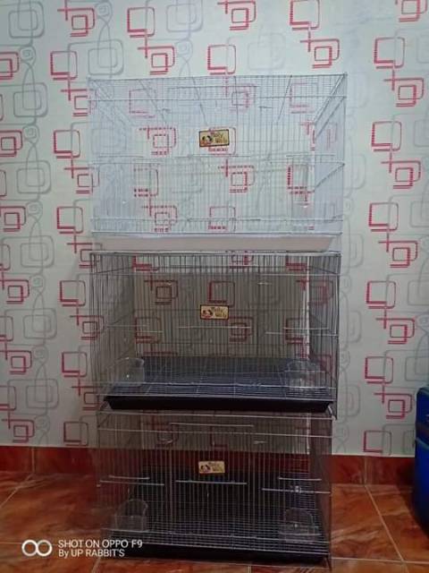 kandang kucing ukuran L 60x40 besi rapet-3