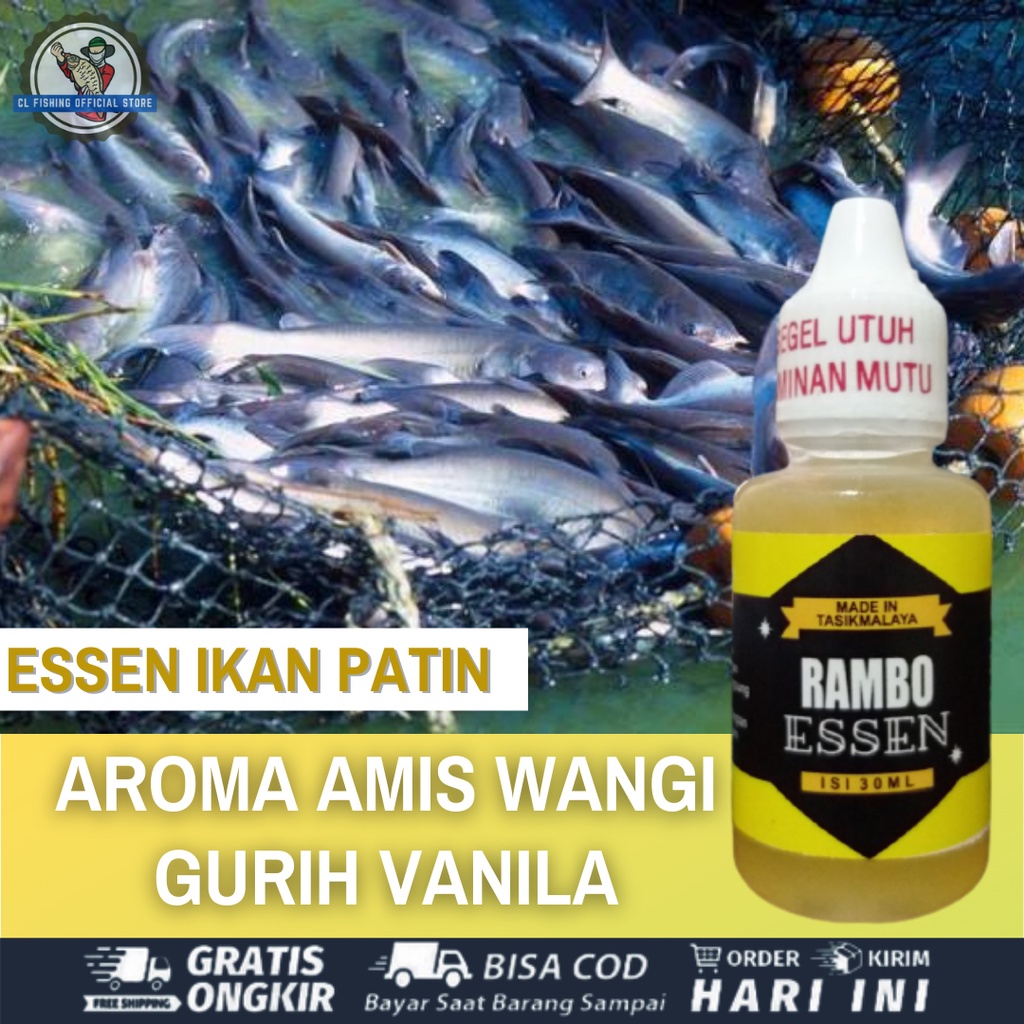 ESSEN IKAN BAWAL PALING GACOR - ESSEN IKAN BAWAL HARIAN MEDIA CACING - RAMBO ESSEN IKAN BAWAL BABON 