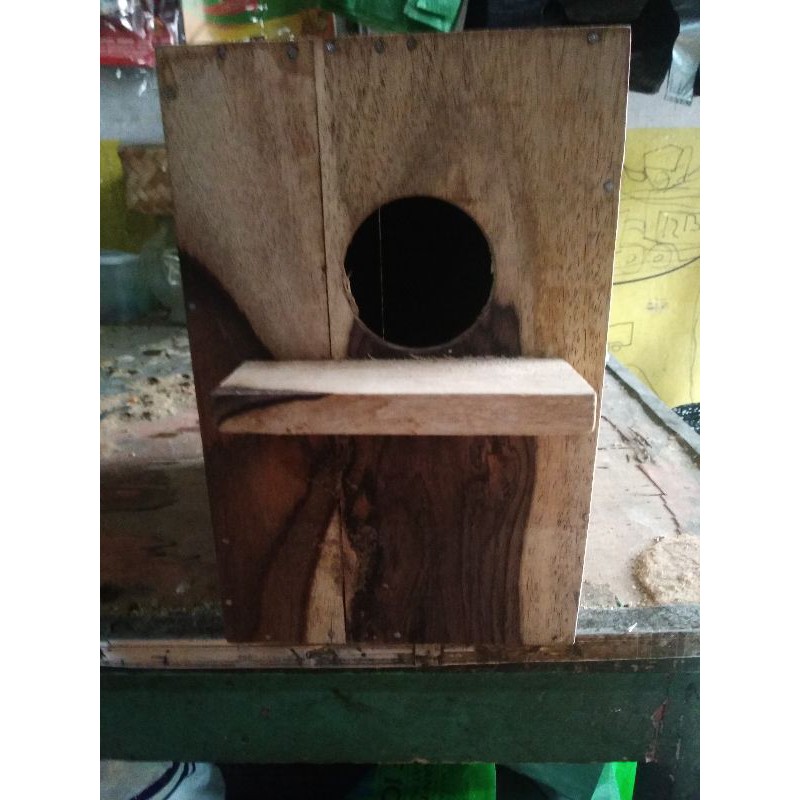 Glodok burung Lovebird