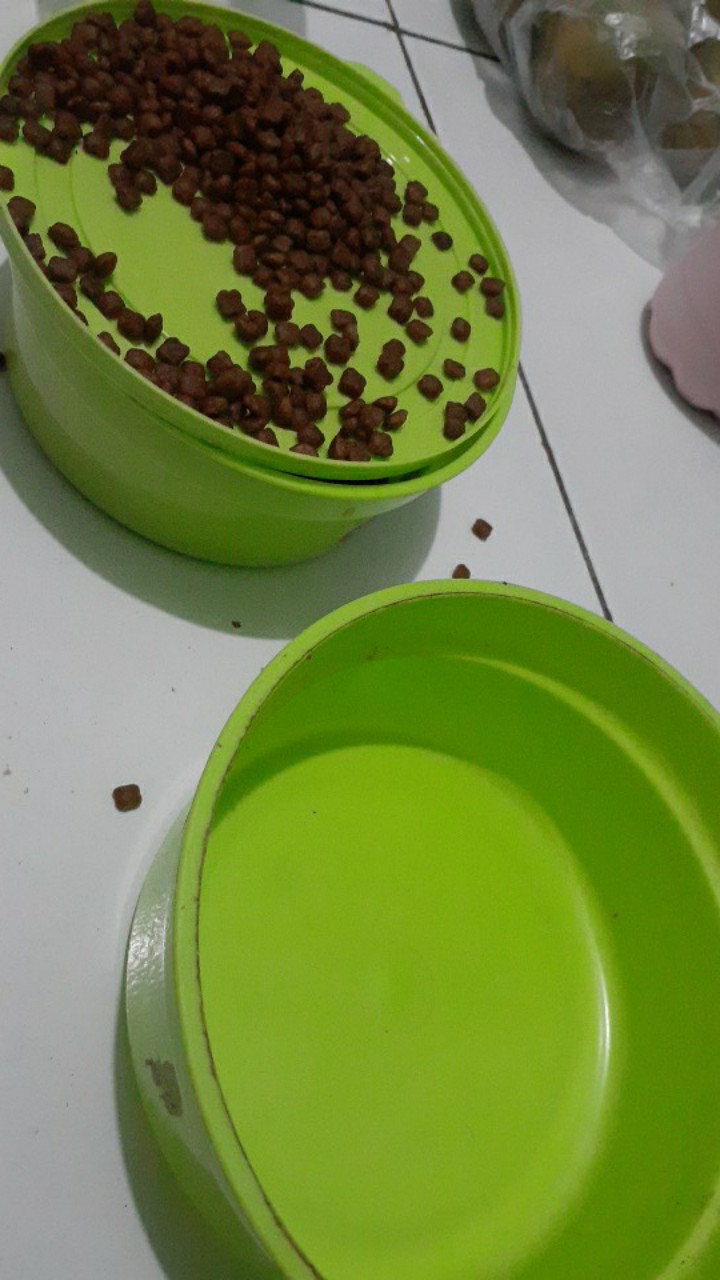 Tempat Makan Anak Tk Paud Dora S / Souvenir Ulang Tahun