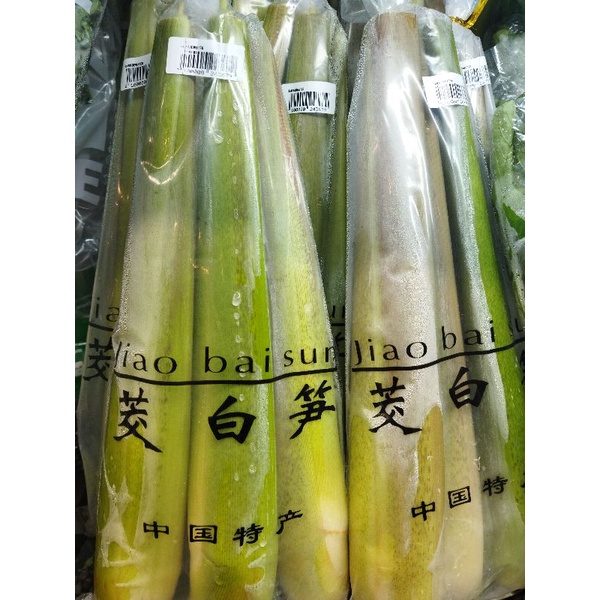 

Water bamboo rebung bambu air import | pack
