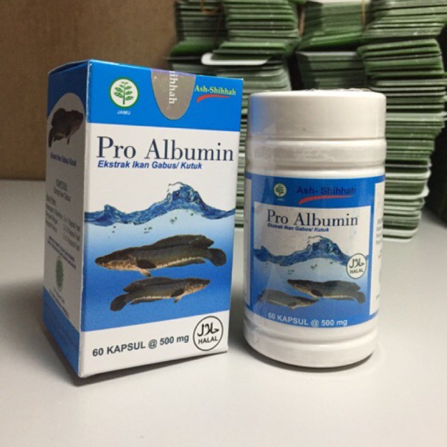 PRO ALBUMIN EKSTRAK IKAN GABUS / KUTUK KAPSUL isi 50 kapsul 100% asli original