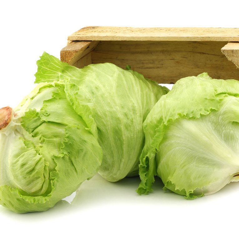 

Lettuce Segar