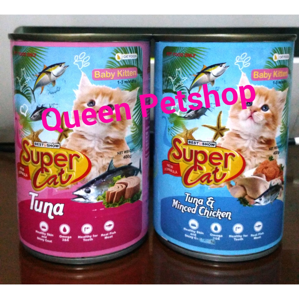 super cat baby kitten