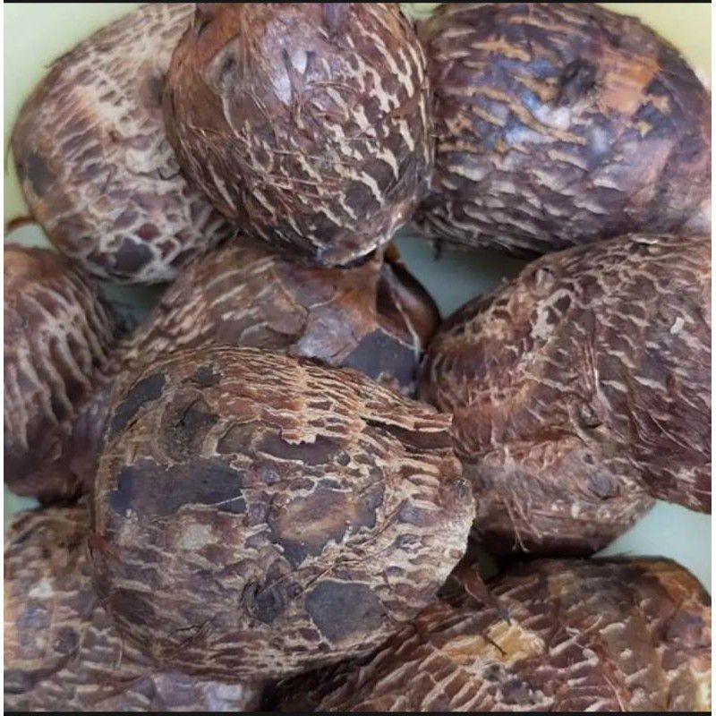 

umbi talas 1kg