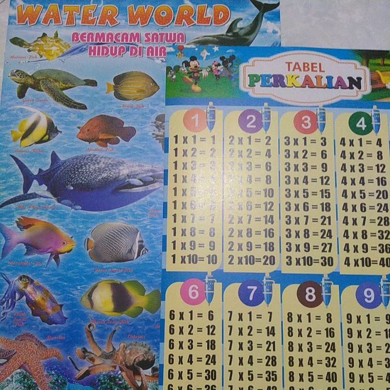 

poster edukasi mengenal bermacam satwa hidup di air/perkalian.ukuran 30×49cm.harga tertera per 1 pcs