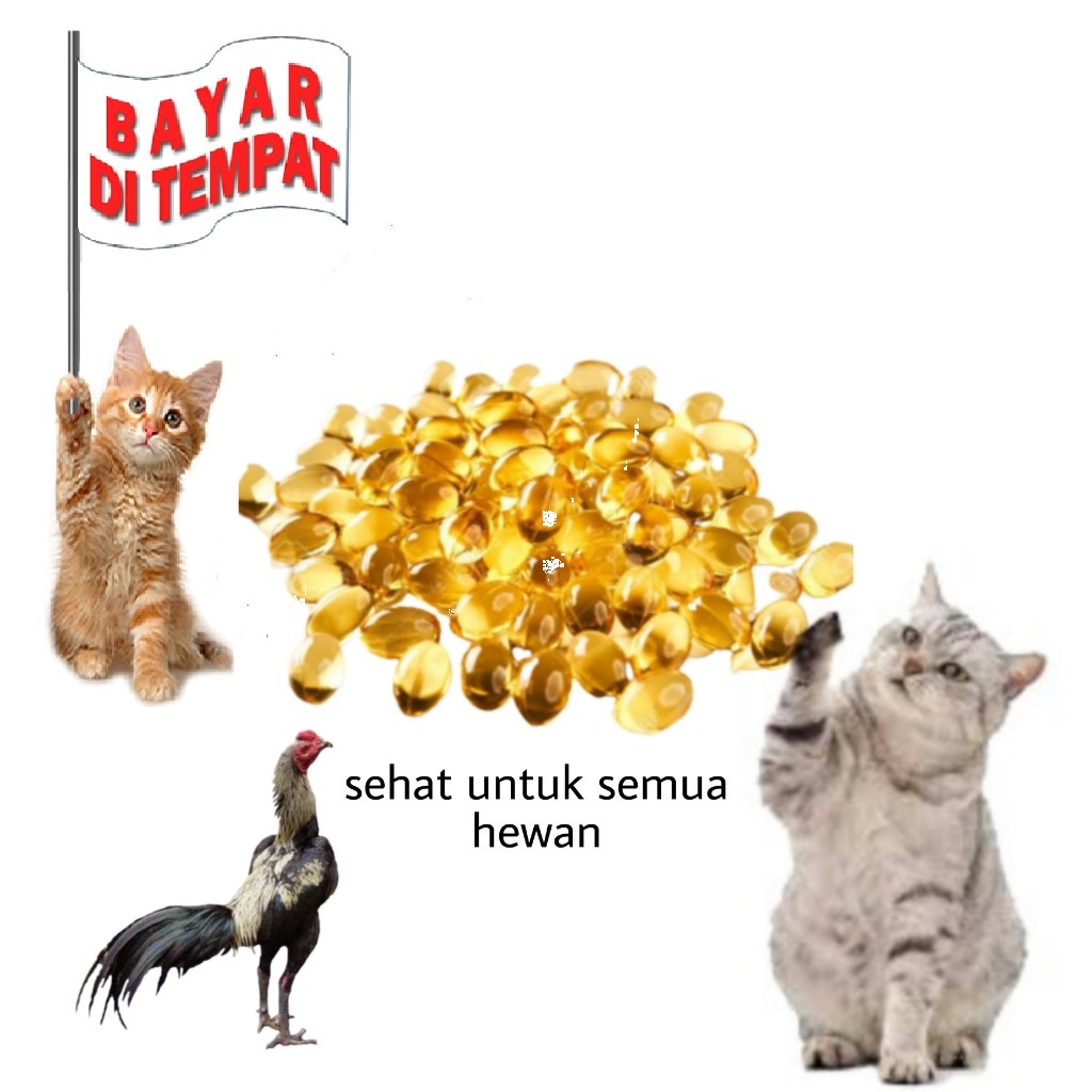 VITAMIN TERLARIS MINYAK IKAN HEWAN KUCING ANJING AYAM ISI 10 BUTIR