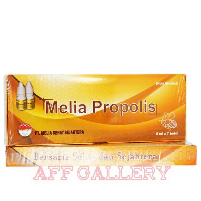 DASYAT PAKET PROPOLIS MELIA SEHAT SEJAHTERAH BOX ORIGINAL !!!