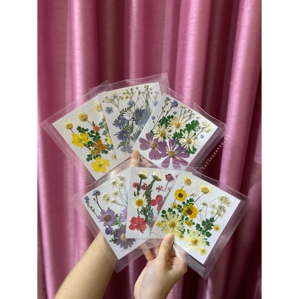 READY STOCK! MURAH! Bunga Kering/Pressed Flower Mixed Natural Dried Flowers untuk DIY Art Floral Decors