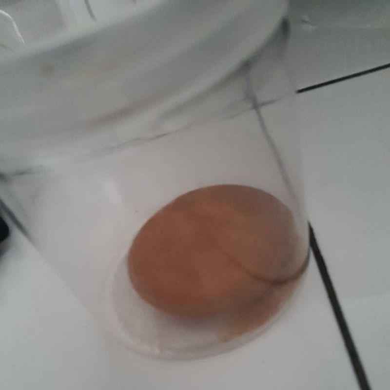 

biskuit